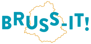 Bruss-it logo